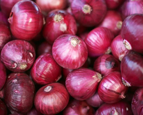 Onion