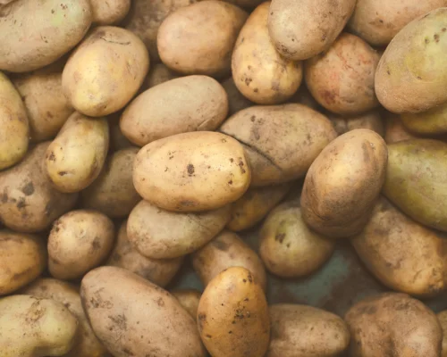 Potato